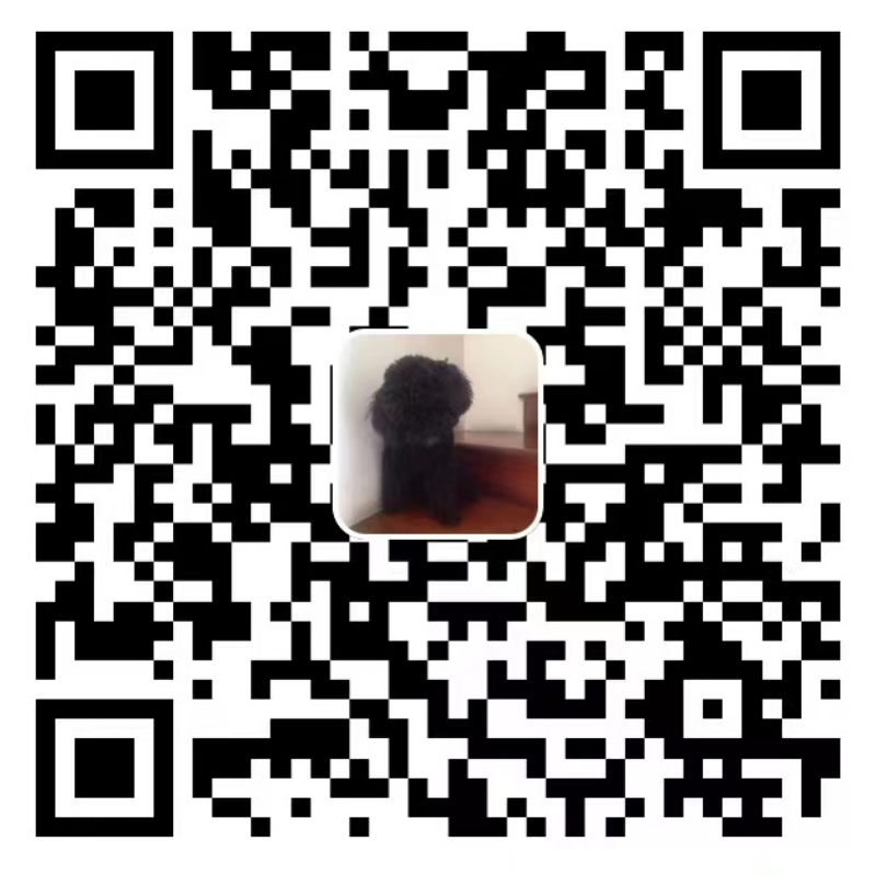 Alipay QRcode